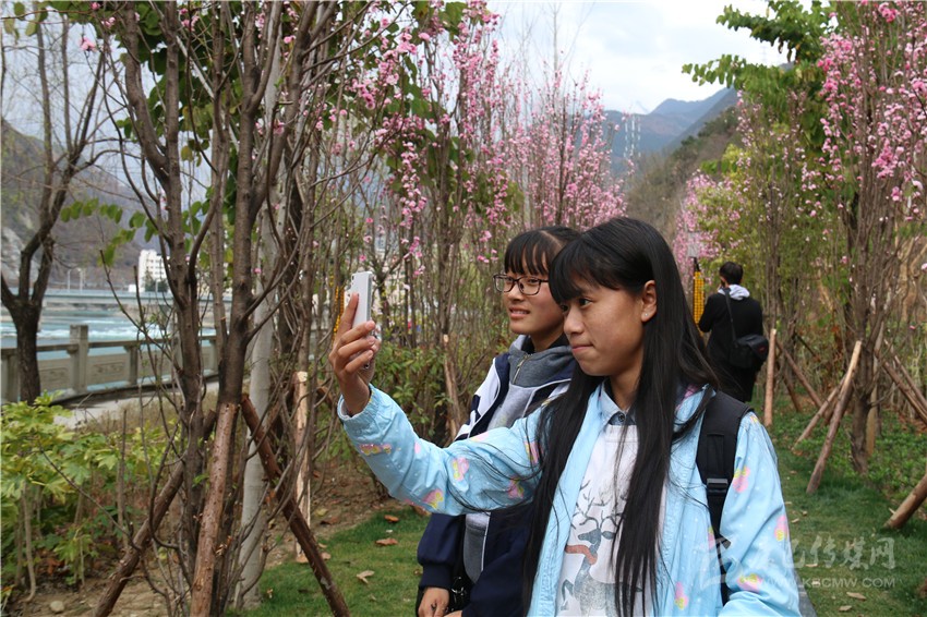 春光俏！“醉”是瀘定春三月，踏青賞花正當(dāng)時(shí)