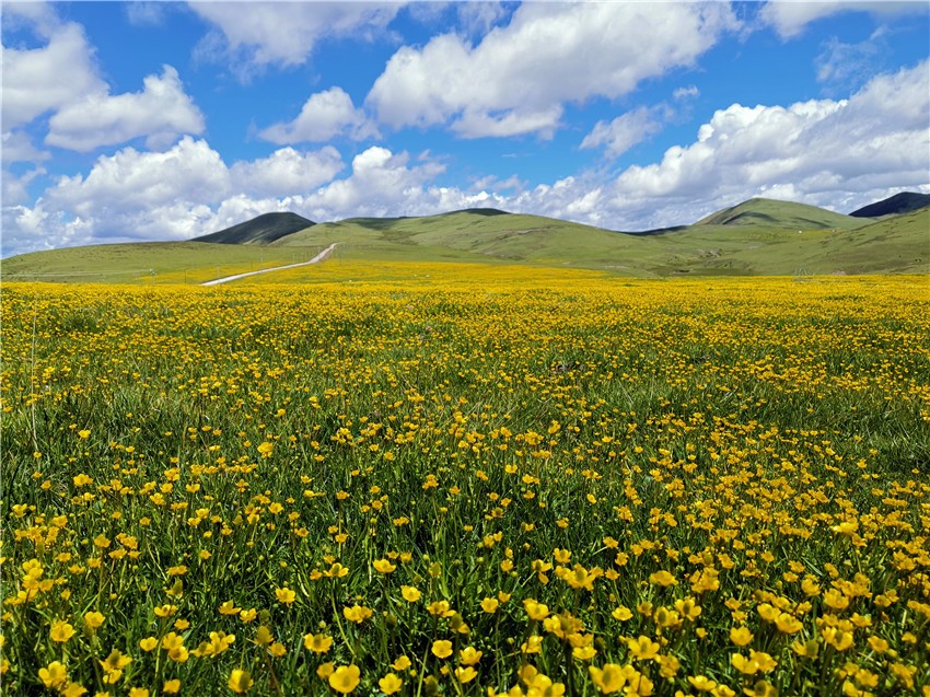 祝?；ê? 任剛.jpg