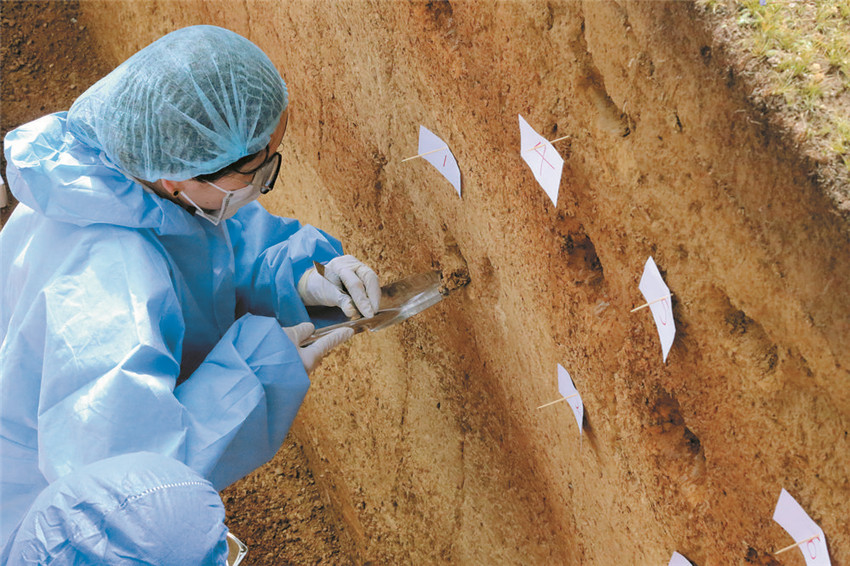 古DNA樣.jpg 古DNA樣.jpg