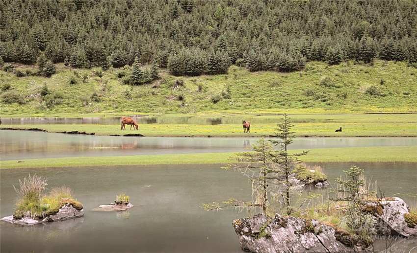 去甘孜 邂逅絕美湖泊海子！