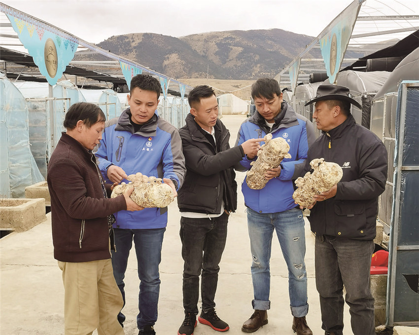 圖為隊(duì)員.jpg 圖為隊(duì)員.jpg